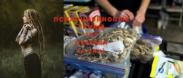 мдпв Верхний Тагил