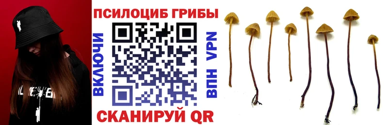 Псилоцибиновые грибы Psilocybine cubensis наркотики Исилькуль