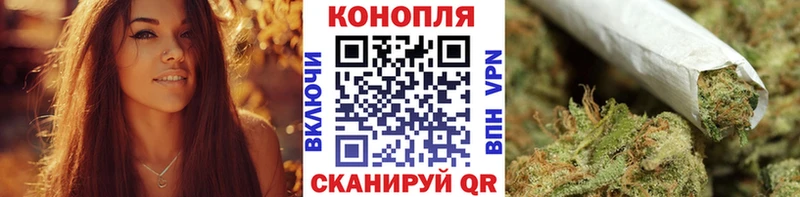 Каннабис гибрид  Исилькуль 